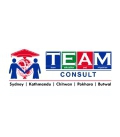 Team Consult