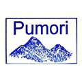 Mount Pumori Nirman Sewa