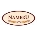 Nameru Trade