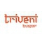Triveni Group