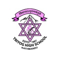 Triyog High School