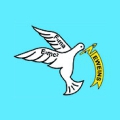 Neweins International Study Center