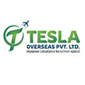 Tesla Overseas