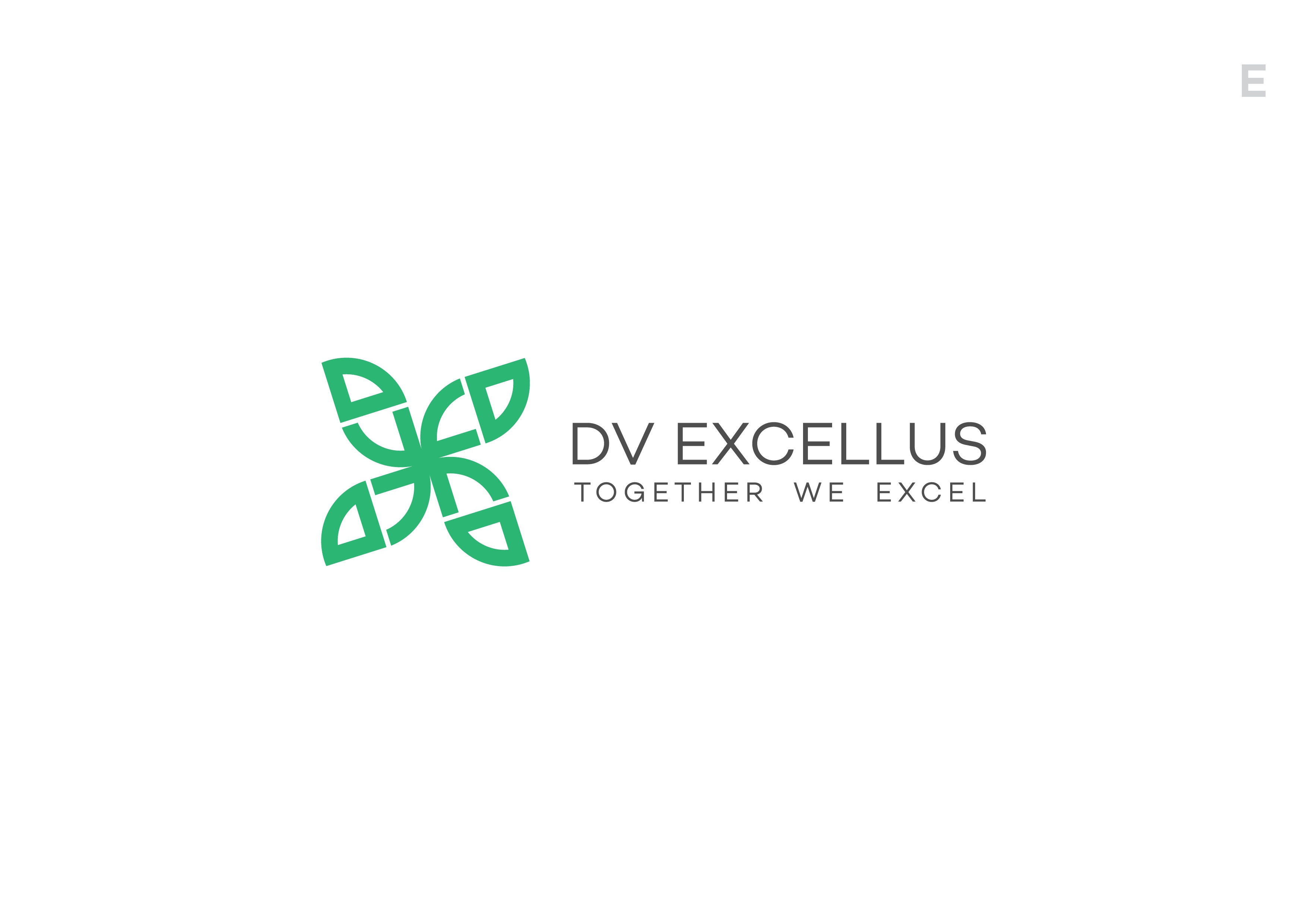 DV Excellus Pvt. Ltd
