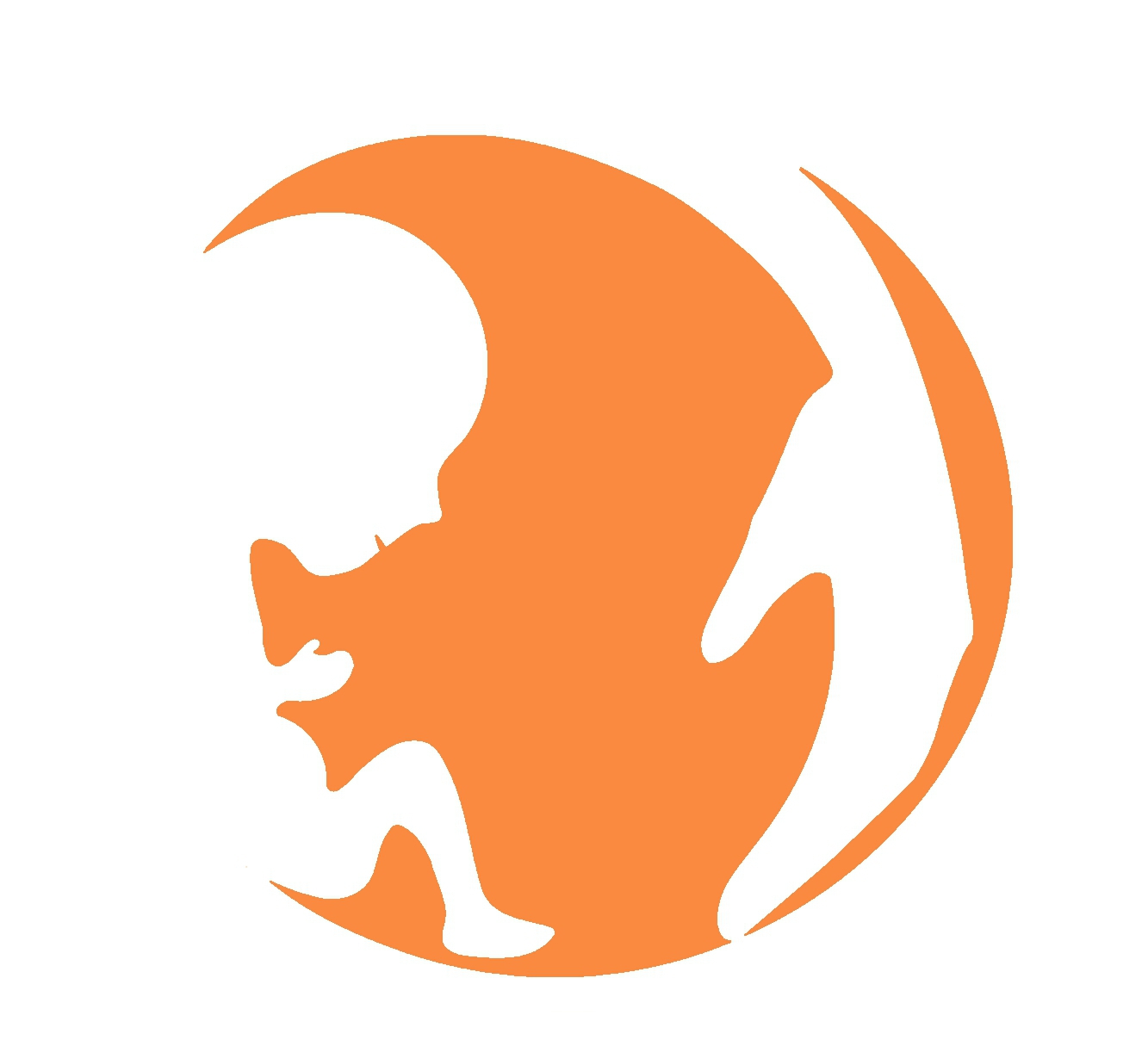 Nepal International Fertility & Laparoscopic Centre