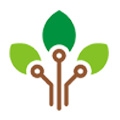 Treeleaf Technologies Pvt. Ltd