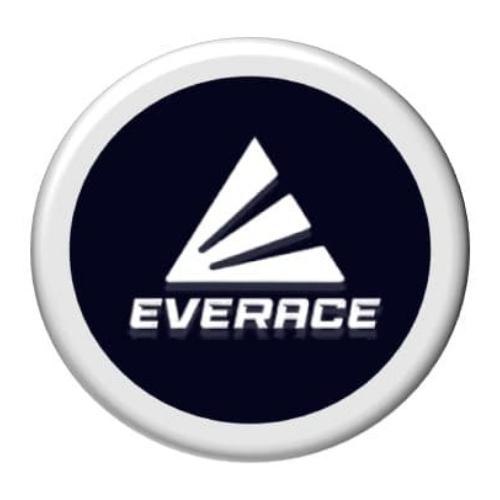 Everace Videogame