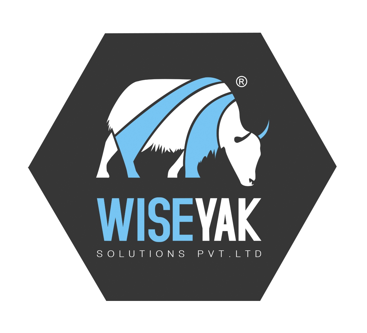 Wiseyak Solutions Pvt Ltd
