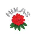 Hulas Steel Industries Limited